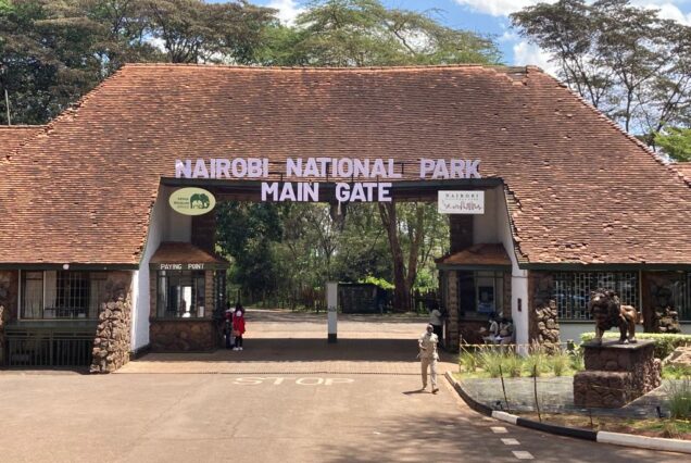 Nairobi National Park Day Trip